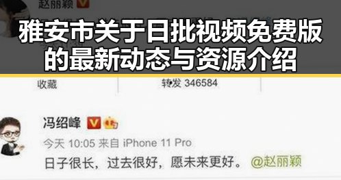 雅安市关于日批视频免费版的最新动态与资源介绍