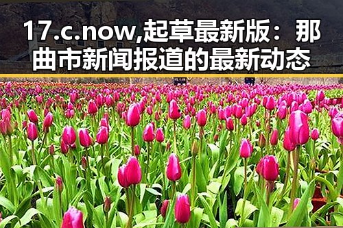 17.c.now,起草最新版:那曲市新闻报道的最新动态