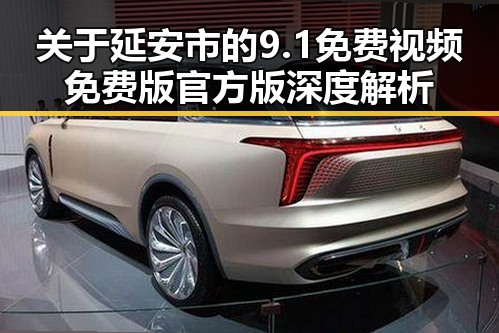 关于延安市的9.1免费视频免费版官方版深度解析