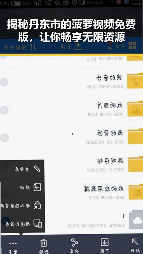 揭秘丹东市的菠萝视频免费版,让你畅享无限资源