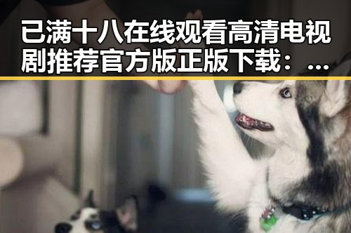 已满十八在线观看高清电视剧推荐官方版正版下载:娱乐资源与观看体验分析