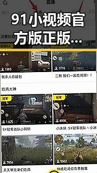 91小视频官方版正版下载：详细指南与使用体验