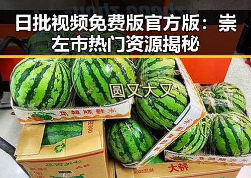 日批视频免费版官方版:崇左市热门资源揭秘