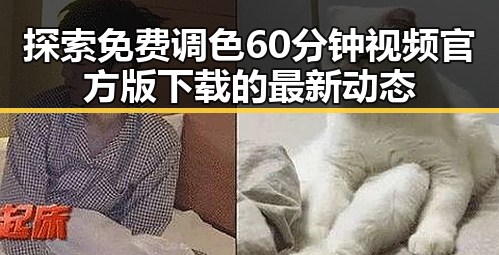 探索免费调色60分钟视频官方版下载的最新动态