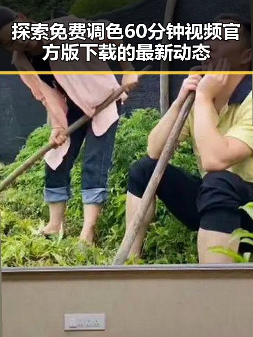 探索免费调色60分钟视频官方版下载的最新动态