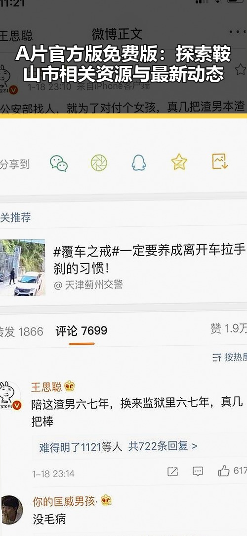 A片官方版免费版:探索鞍山市相关资源与最新动态