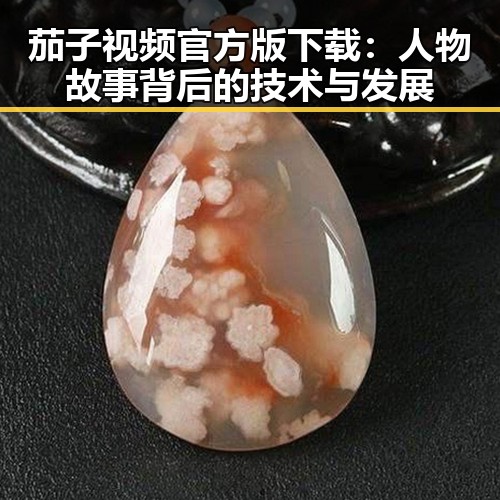 茄子视频官方版下载：人物故事背后的技术与发展