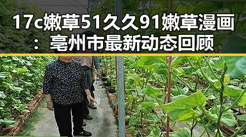 17c嫩草51久久91嫩草漫画:亳州市最新动态回顾