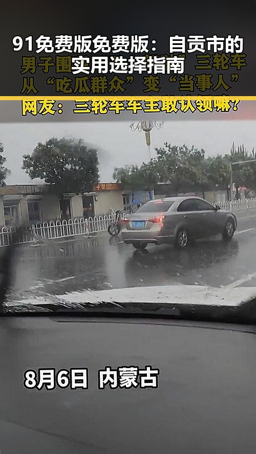 91免费版免费版:自贡市的实用选择指南