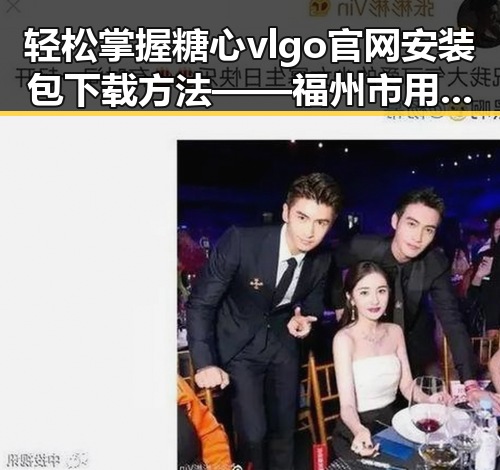 轻松掌握糖心vlgo官网安装包下载方法——福州市用户指南