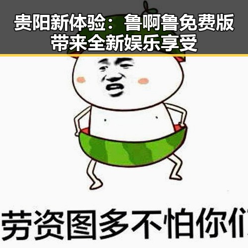 贵阳新体验：鲁啊鲁免费版带来全新娱乐享受