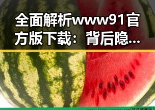全面解析www91官方版下载：背后隐藏的多重价值与应用