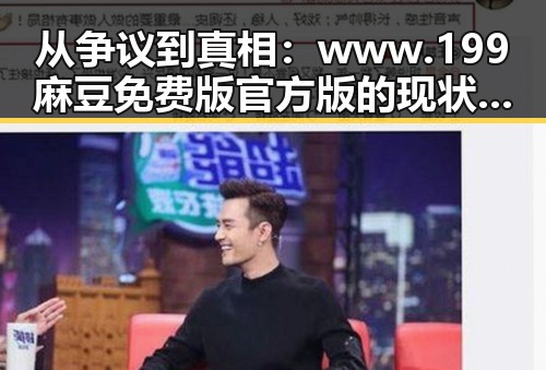 从争议到真相：www.199麻豆免费版官方版的现状与背后故事