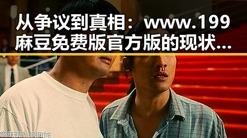 从争议到真相:www.199麻豆免费版官方版的现状与背后故事