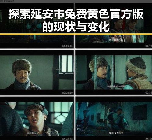 探索延安市免费黄色官方版的现状与变化