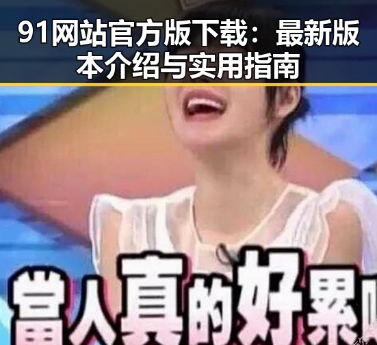 91网站官方版下载：最新版本介绍与实用指南