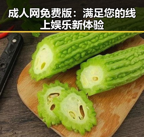 成人网免费版：满足您的线上娱乐新体验