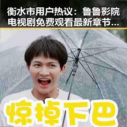 衡水市用户热议：鲁鲁影院电视剧免费观看最新章节官方版下载详解