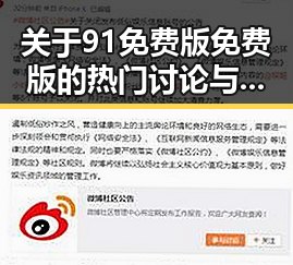 关于91免费版免费版的热门讨论与实际应用