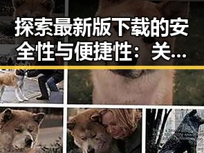 探索最新版下载的安全性与便捷性:关于色情软件最新版下载的分析