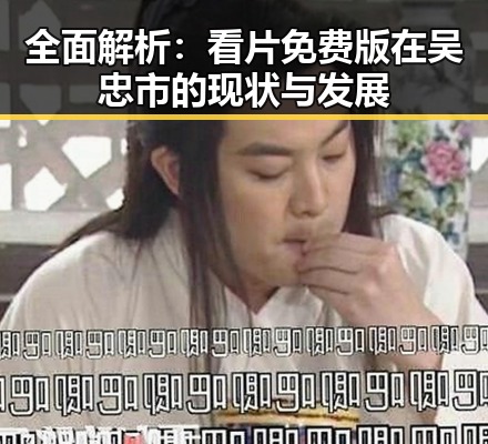 全面解析：看片免费版在吴忠市的现状与发展
