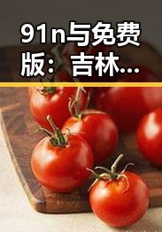 91n与免费版:吉林市用户的选择与对比分析