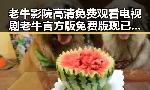老牛影院高清免费观看电视剧老牛官方版免费版现已成为热门选择