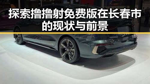 探索撸撸射免费版在长春市的现状与前景