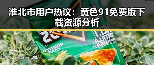 淮北市用户热议：黄色91免费版下载资源分析